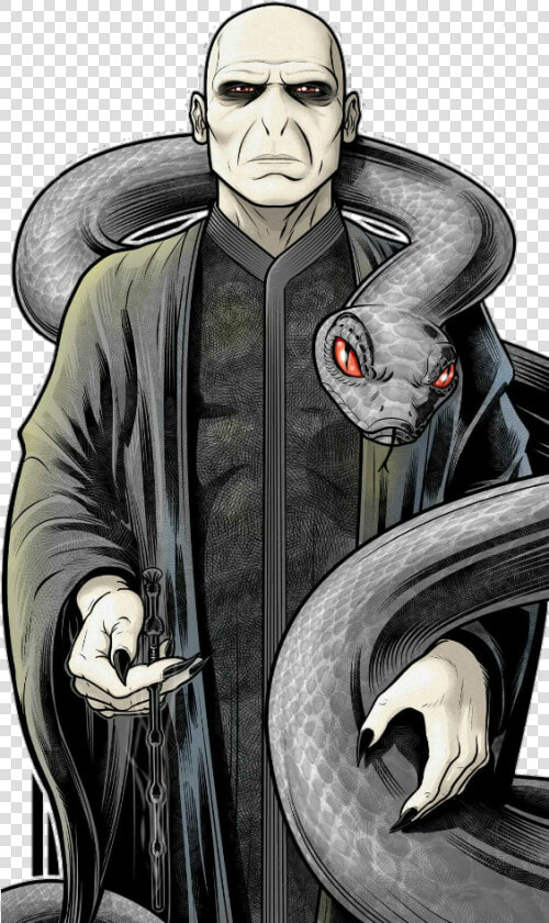 Draw Lord Voldemort Cartoon  HD Png DownloadTransparent PNG