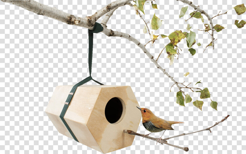 Neighbirds  Modular Wooden Birdhouses 0   Design A Birdhouse  HD Png DownloadTransparent PNG