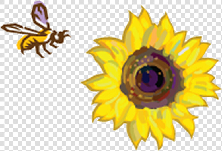 Sunflowers Clipart Bee   Sunflowers And A Bee  HD Png DownloadTransparent PNG