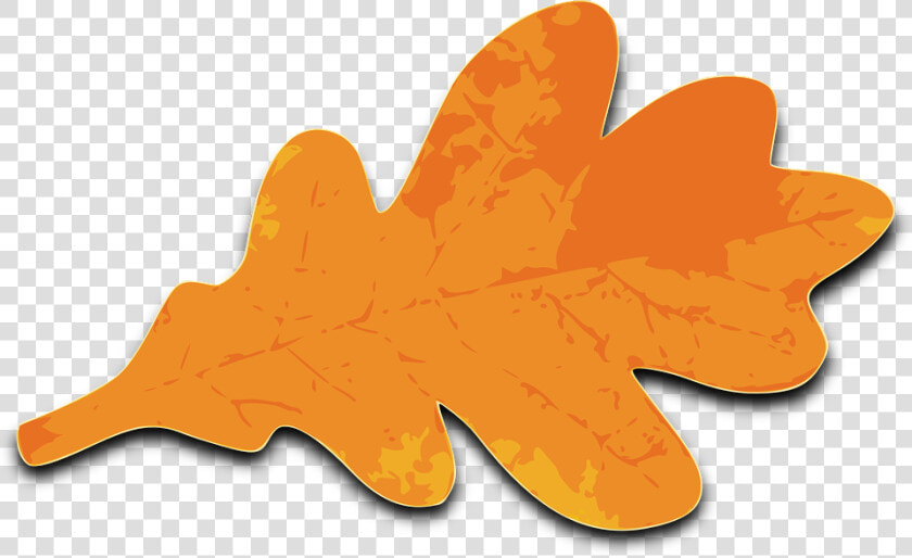 Oak  Foliage  Fall  Leaf  Orange  Brown   Fall Oak Leaf Clipart  HD Png DownloadTransparent PNG