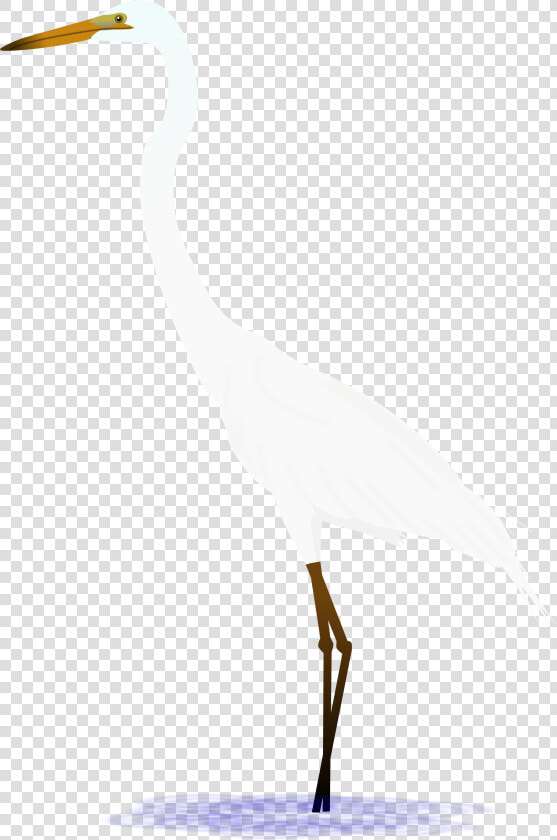 Heron Vector Egret   Great Egret  HD Png DownloadTransparent PNG