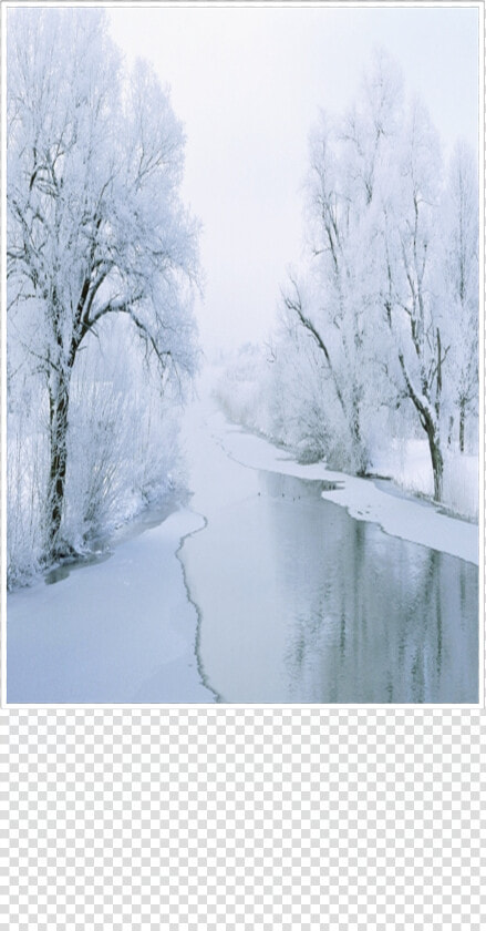 Beginning November Frosty Forest   Painting  HD Png DownloadTransparent PNG