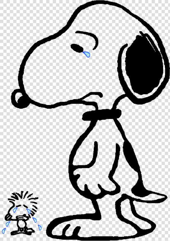 Charlie Brown Snoopy Transparent   Transparent Cartoons   Charlie Brown Black And White  HD Png DownloadTransparent PNG