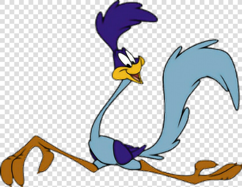  roadrunner  looneytunes   Road Runner Cartoon  HD Png DownloadTransparent PNG