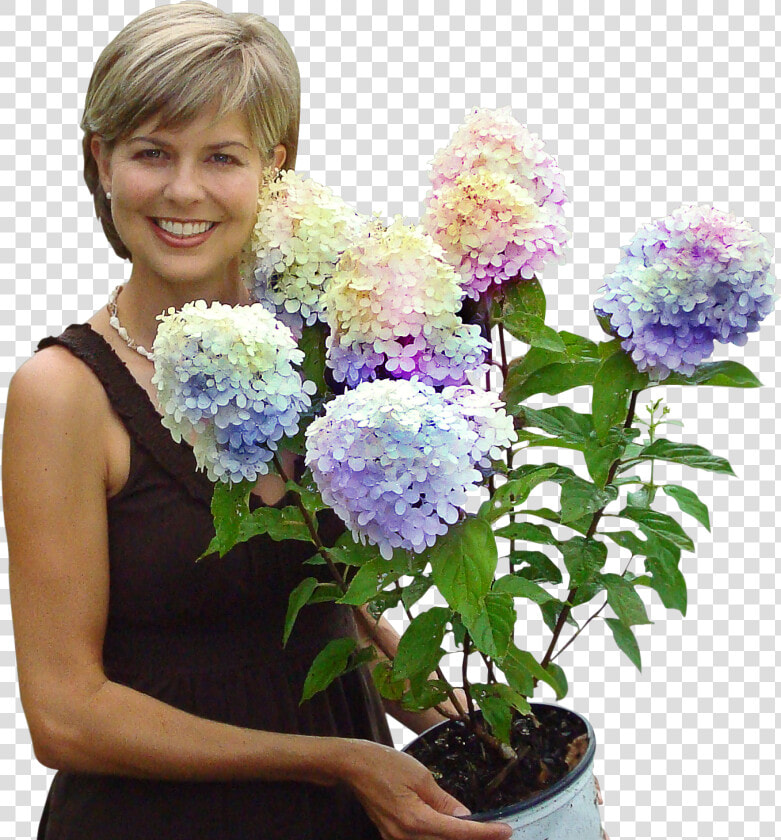 Pam Fast Growing Trees  HD Png DownloadTransparent PNG