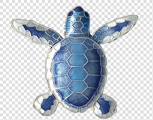 Flatback Hatchling Pin  HD Png DownloadTransparent PNG