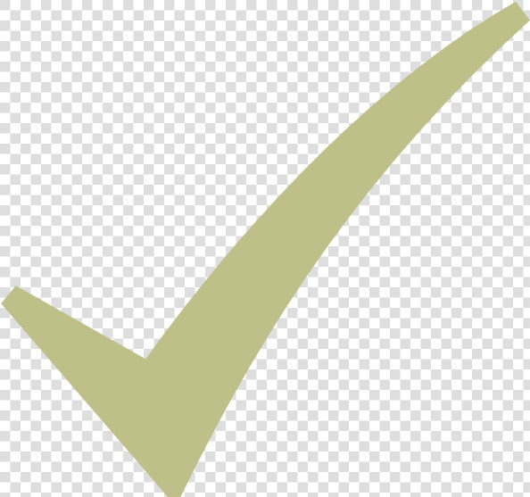 Beige Check Mark  HD Png DownloadTransparent PNG