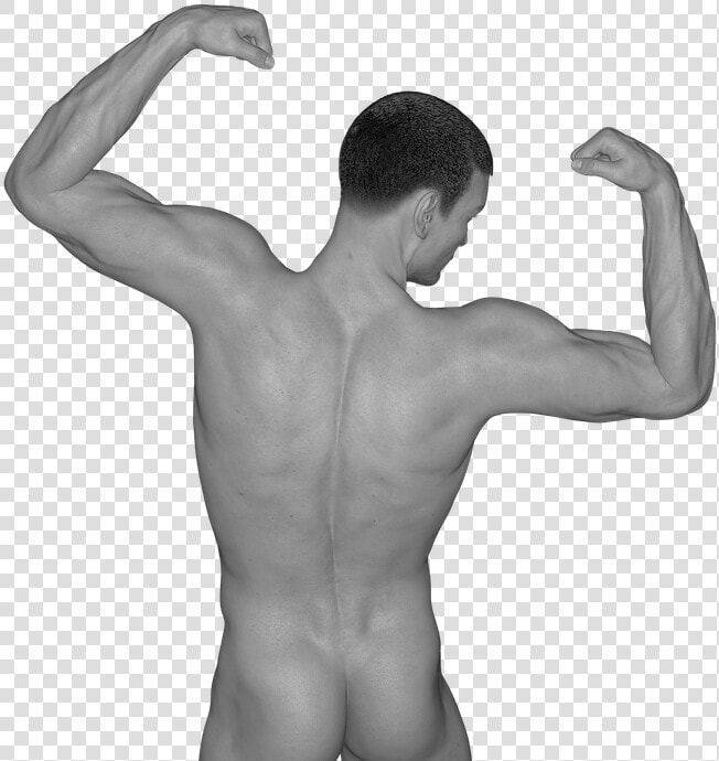 Man  Muscles  Act  Naked  Erotic  Sexy  Figure   Niveis De Organização Dos Seres Vivos  HD Png DownloadTransparent PNG