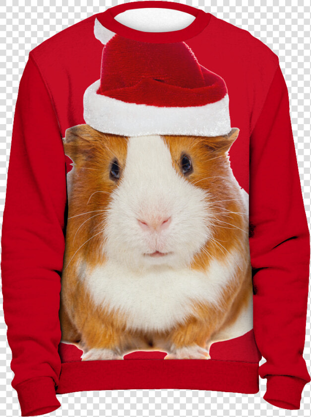 Ugly Christmas Sweater guinea Pig   Ugly Christmas Sweater Hamster  HD Png DownloadTransparent PNG