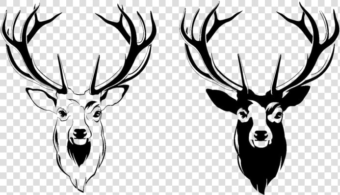 Deer Head Png Picture   Deer Head Png  Transparent PngTransparent PNG