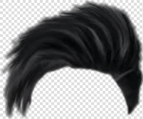 Hair Png  Hair Png Cb  Picsart Hair Png  Cb Hair Png    Fish  Transparent PngTransparent PNG