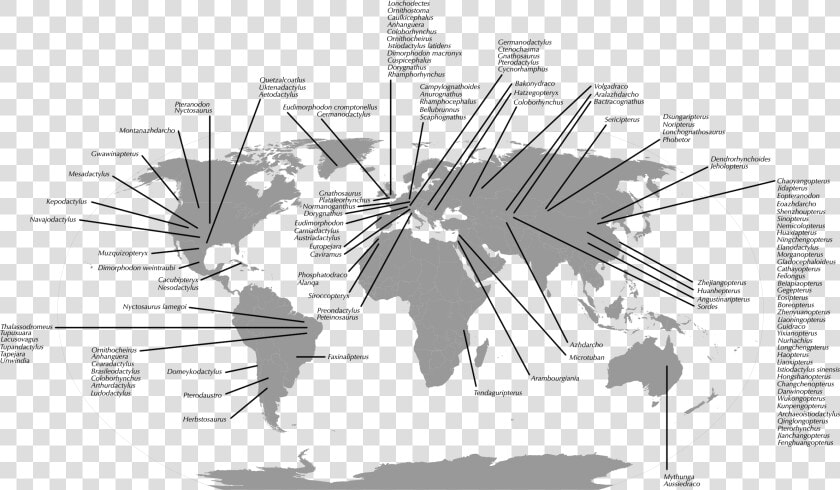 Pterosaur Fossil Distribution Map   World Map Vector Png Grey  Transparent PngTransparent PNG