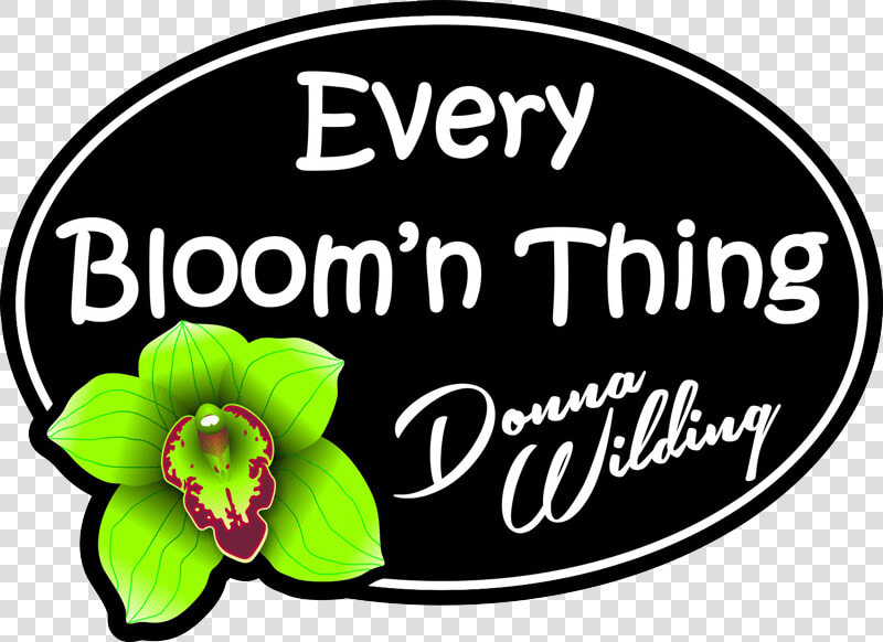 Every Bloom N Thing   Every Bloom  39 n Thing Flower Shop Gift Shop And Delivery  HD Png DownloadTransparent PNG