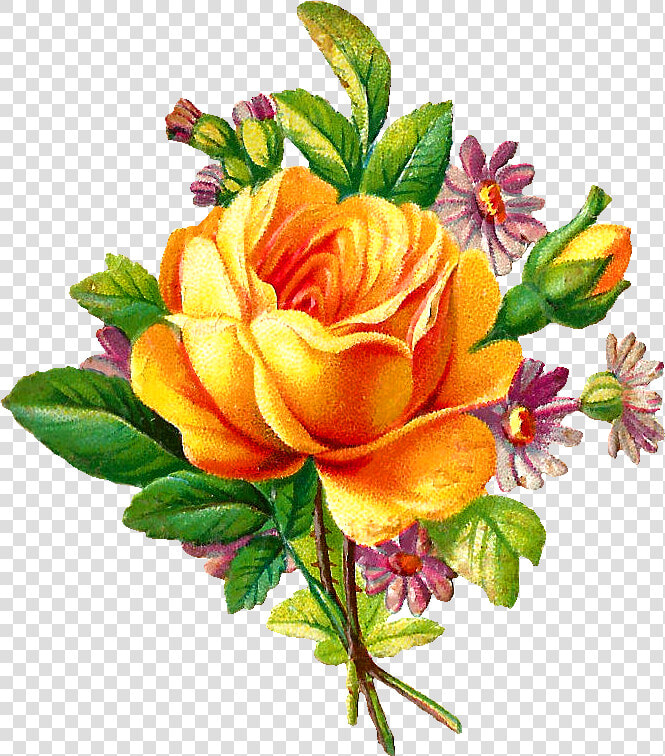 Vine Rose Clip Art Free Best Vine Rose Clip Art On   Free Vintage Flower Png  Transparent PngTransparent PNG