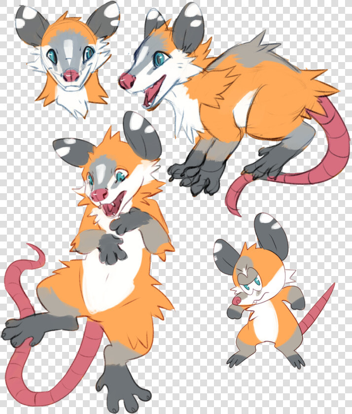  o  My Opossum   Cartoon  HD Png DownloadTransparent PNG