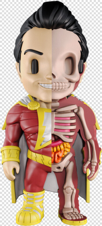 Xxray Shazam   Toypocalypse   Jason Freeny  HD Png DownloadTransparent PNG