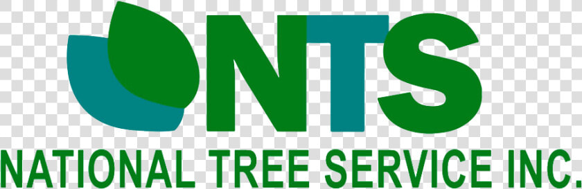 Nts National Tree Service Inc   Graphic Design  HD Png DownloadTransparent PNG