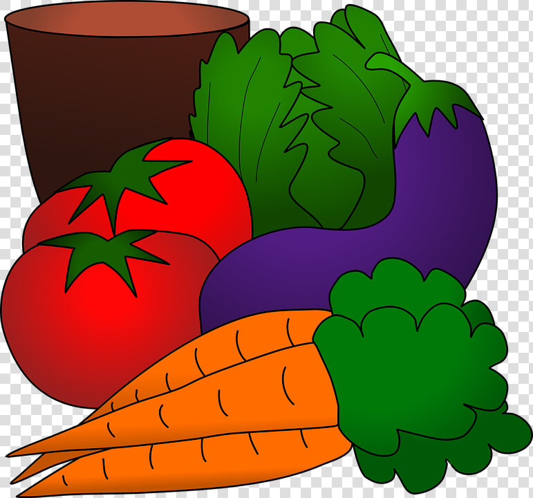 Vegetables  Produce  Harvest  Lettuce  Tomato  Carrot   Vegetables Cartoon  HD Png DownloadTransparent PNG