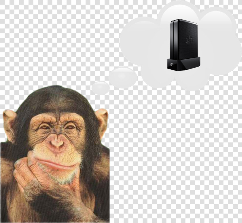 Chimp Png  Transparent PngTransparent PNG