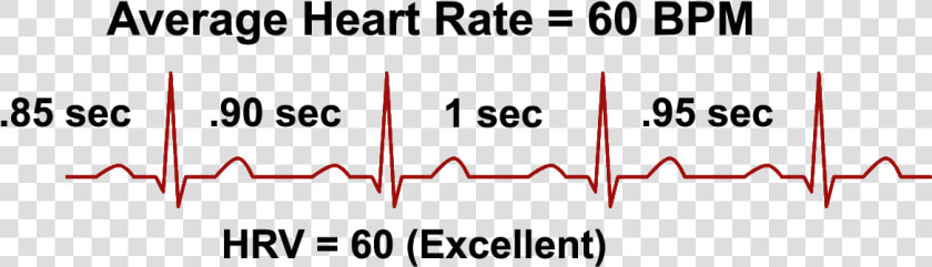 Heart Rate Variability And Bpm  HD Png DownloadTransparent PNG