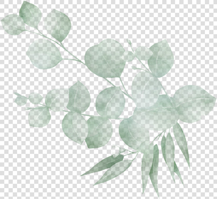 Twig  HD Png DownloadTransparent PNG