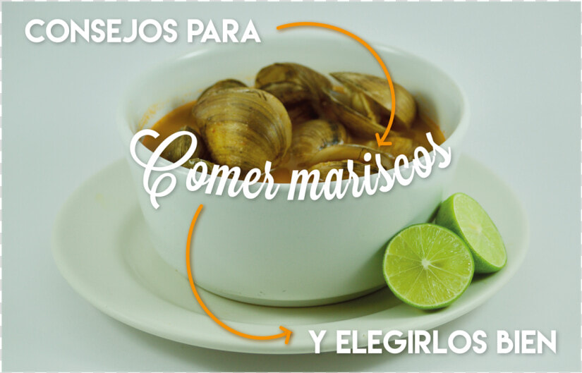 Consejos Para Comer Mariscos  HD Png DownloadTransparent PNG