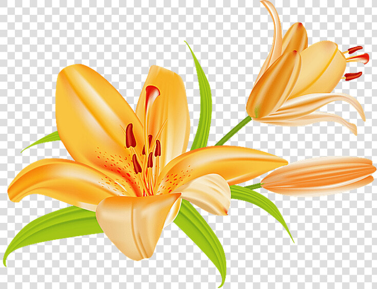 Lily Flower Bouquet Clipart   Tiger Lily Clip Art  HD Png DownloadTransparent PNG