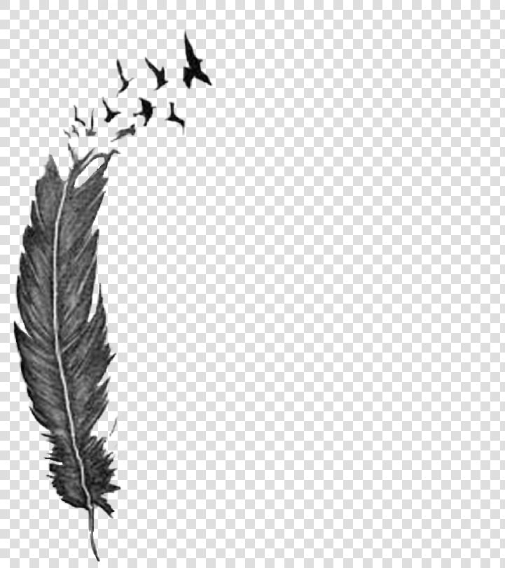  feather  tattoo  freetoedit   Feather Breaking Into Birds Tattoo  HD Png DownloadTransparent PNG