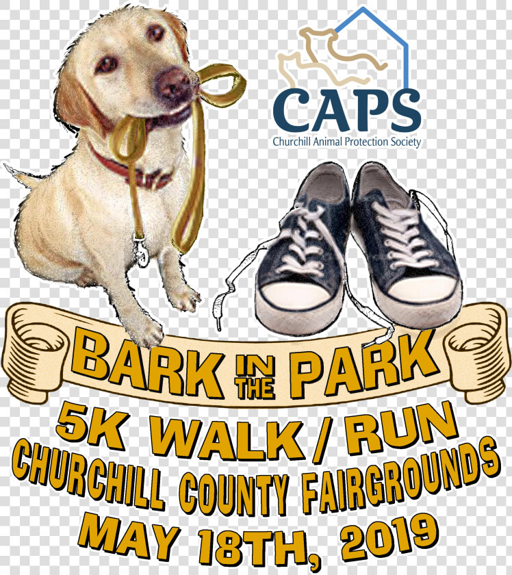 It S Time For Our 5k Strut Your Mutt Walk run   Dog  HD Png DownloadTransparent PNG