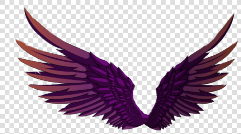  wings  angel  angelwings  wing  fairy  fairywings •   Illustration  HD Png DownloadTransparent PNG