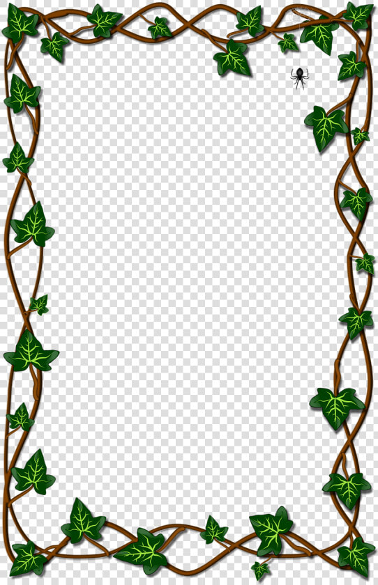 Leaf Ivy Flora Free Picture   Stock xchng  HD Png DownloadTransparent PNG