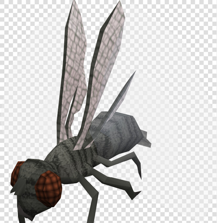 Demonic Giant Flies Pathfinder  HD Png DownloadTransparent PNG