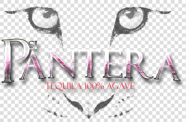 Tequila Pantera  HD Png DownloadTransparent PNG