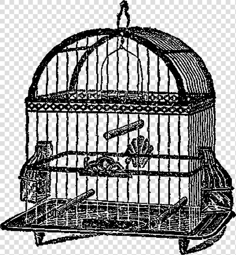 Birdcage Bird Clipart Illustration Artwork Digital   Cage  HD Png DownloadTransparent PNG