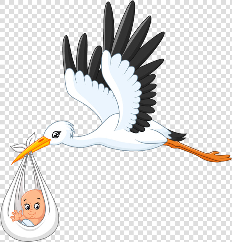 White Stork Infant Clip Art   Stork Cartoon Flying  HD Png DownloadTransparent PNG