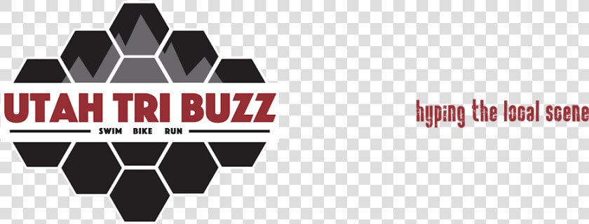 Utah Tri Buzz   Elements Of Clinical Governance  HD Png DownloadTransparent PNG