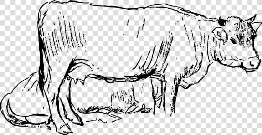 Engraving  Chalk Out  Etching  Art  Woodcut  Print   Disegni Animali Per Azienda Agricola  HD Png DownloadTransparent PNG