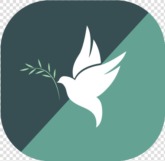 A Dove With An Olive Branch Signifying Healing Of Devops   Illustration  HD Png DownloadTransparent PNG