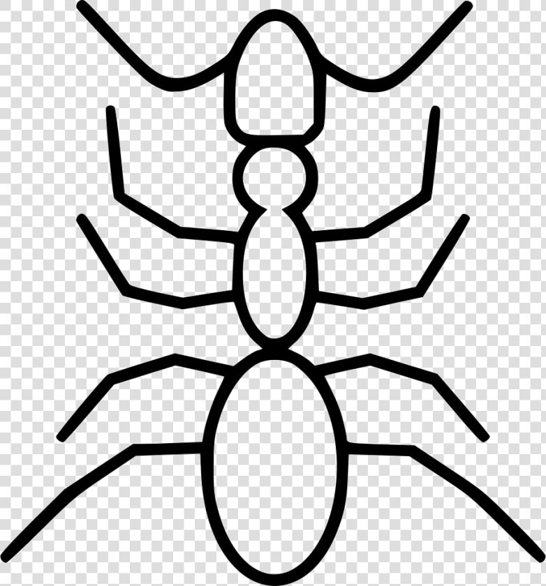 Ant   Orb weaver Spider  HD Png DownloadTransparent PNG