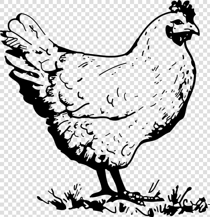 Chicken Svg Clip Arts   Chicken Black And White  HD Png DownloadTransparent PNG