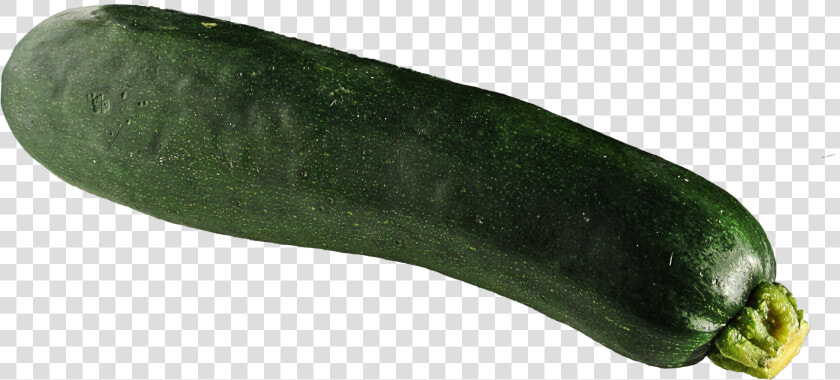 Zucchini Png  Transparent PngTransparent PNG