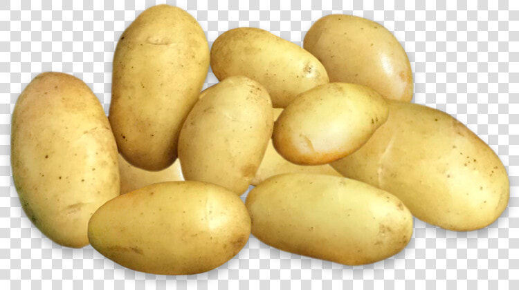 Potatos   Fingerling Potato  HD Png DownloadTransparent PNG