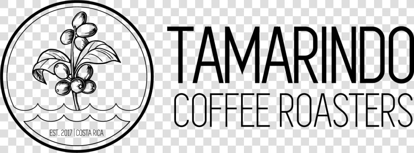 Tamarindo Coffee Roasters   Circle  HD Png DownloadTransparent PNG