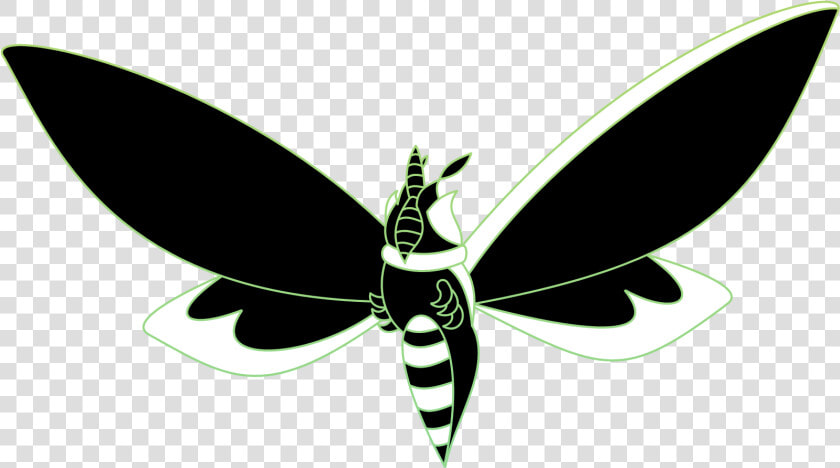 Green Powder Moth   Net winged Insects  HD Png DownloadTransparent PNG