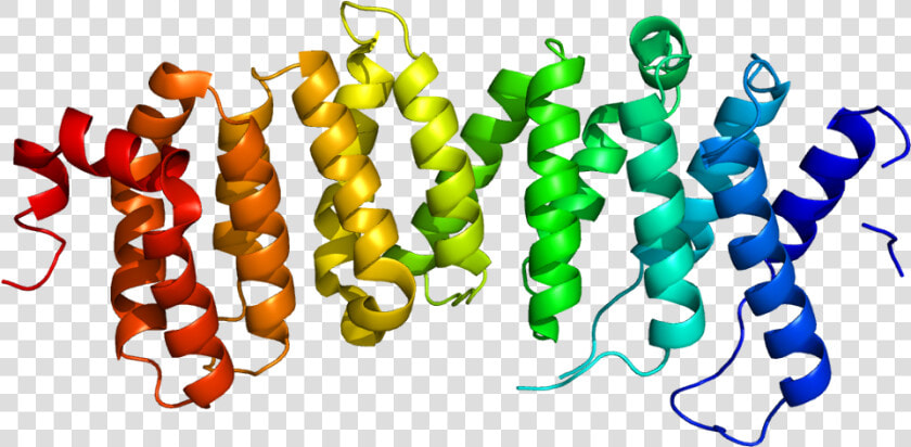 Protein Ppp2r5d Pdb 2jak  HD Png DownloadTransparent PNG