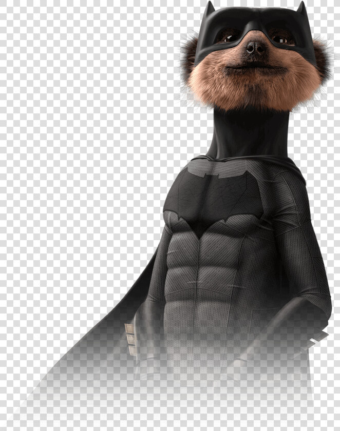 Meerkat Batman   Png Download   Batman Meerkat  Transparent PngTransparent PNG