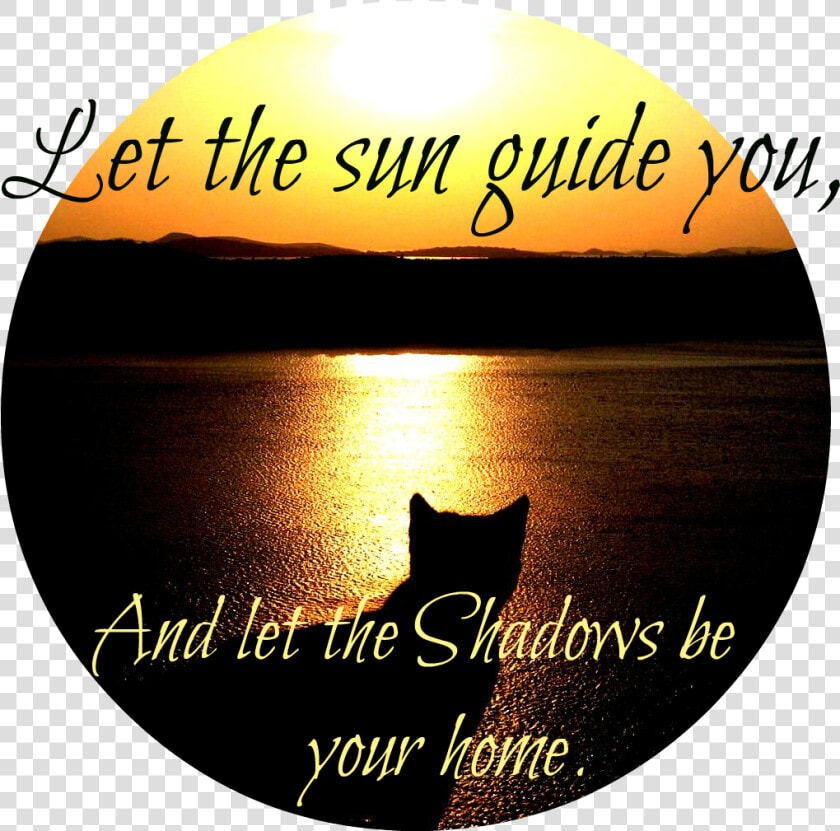 Cat Silhouette River Sun Sunset Stuff High Contrast   Poster  HD Png DownloadTransparent PNG