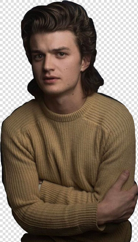 Joe Keery Luke Fontana  HD Png DownloadTransparent PNG