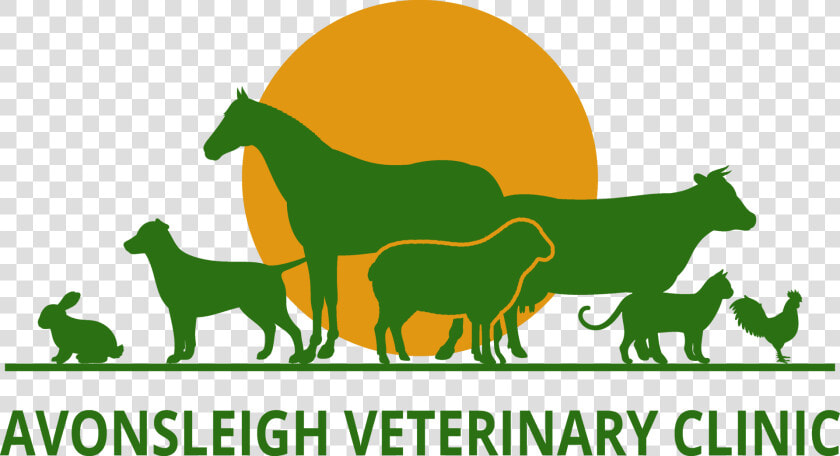 Avonsleigh Veterinary Hospital   Farm Vet Logo  HD Png DownloadTransparent PNG