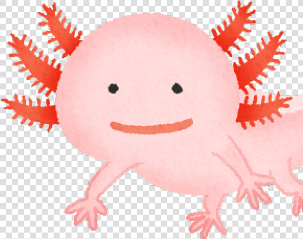 Axolotl Clipart   ウーパールーパー イラスト  HD Png DownloadTransparent PNG